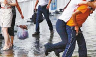 用种子蚯蚓小白兔下雨编个小故事 雨后小故事