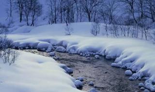 写四川广安的冬天作文 冬天的第一场雪作文