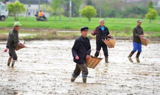 三九天为什么不能下雨 三九天下雨怎么回事