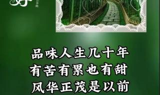 2004年9月18日发生了什么事 9月18是什么日子啊