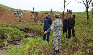 东北虎和东北豹是几级保护动物 东北豹被东北虎咬死