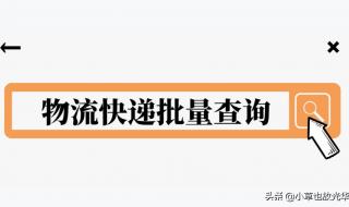 中通快递怎么查询单号 中通快递查询单号查询物流