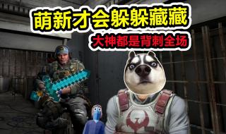 wegamecsgo可以直接玩躲猫猫吗 csgo躲猫猫模式在哪